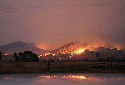 
 Victorian Bushfires February 2009 
