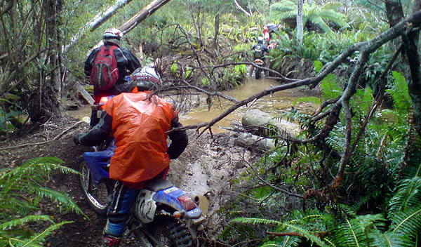 
 2008 St Helens to Strahan Ride 
 Darding Crossing 

